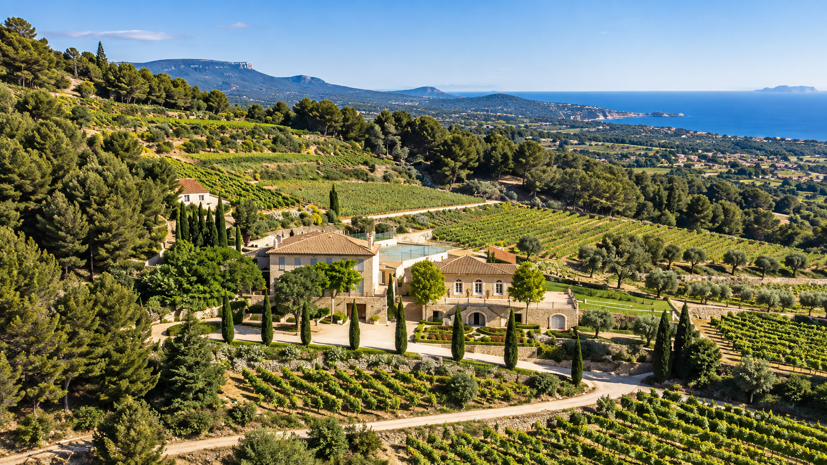 Vignoble du Château de Pibarnon sur les hauteurs de La Cadière-d'Azur